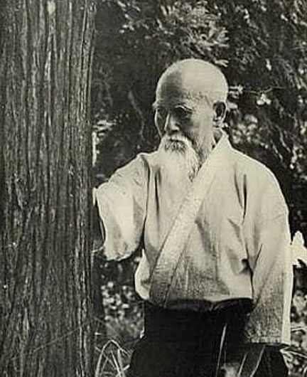 f299b768-7dab-4772-8313-29e49e7f7a6d-o-sensei-tree.jpg